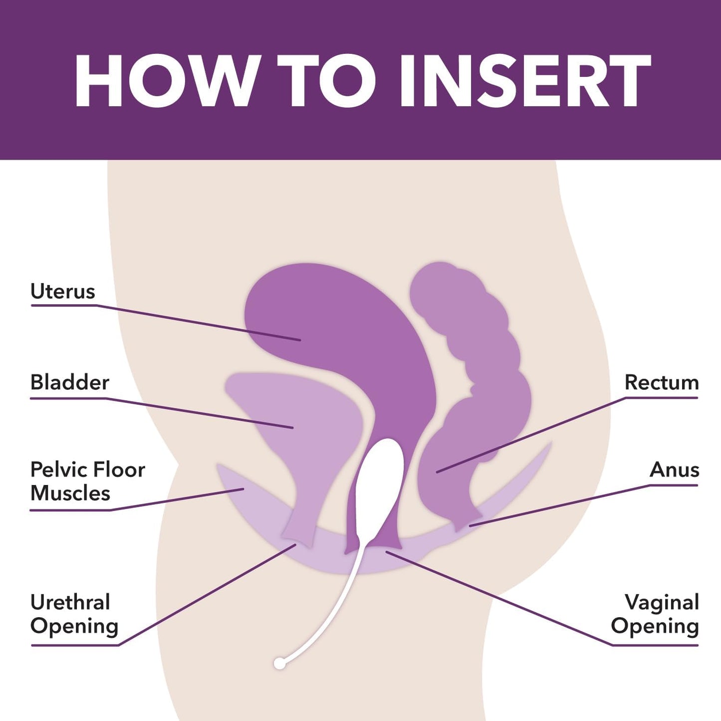 Intimate Rose - Kegel Exercise Weights